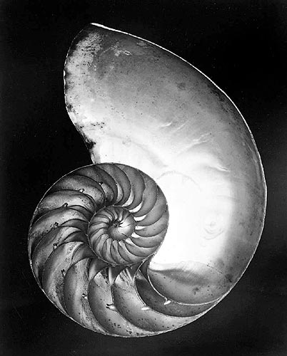 shell-1927(1)