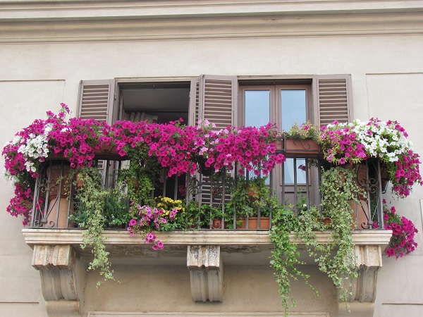 janelas3