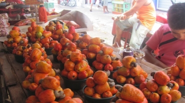 Feira do Alecrim. Natal. RN