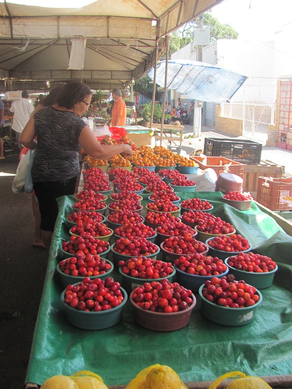 Feira do Alecrim. Natal. 