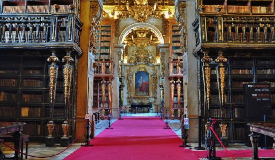 1353409742_biblioteca-slideshow-pic01