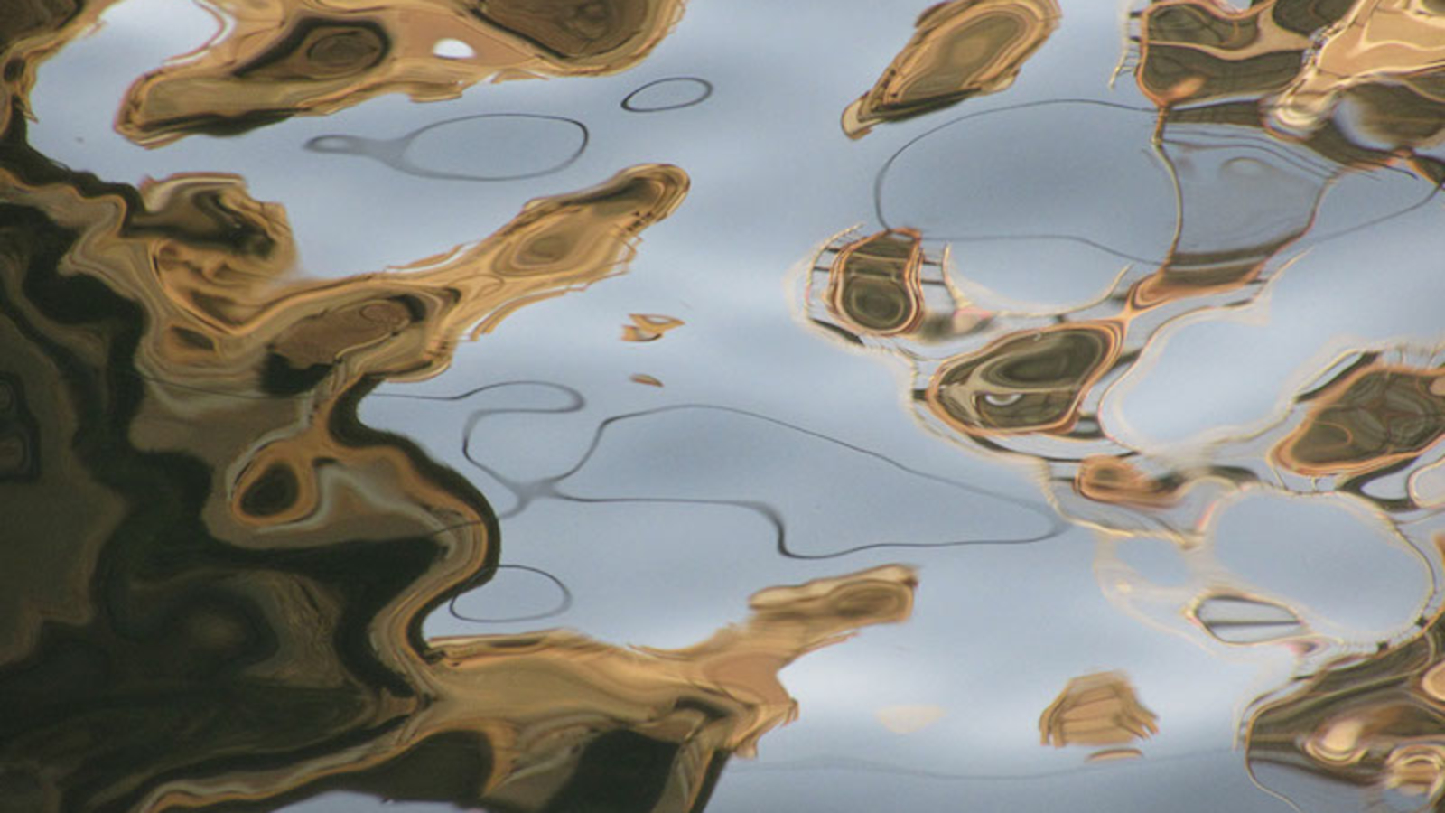 Um dos canais em Veneza. Reflexos de um galho de árvore. Se você pensou outra coisa erro. Foto  by Mari Weigert